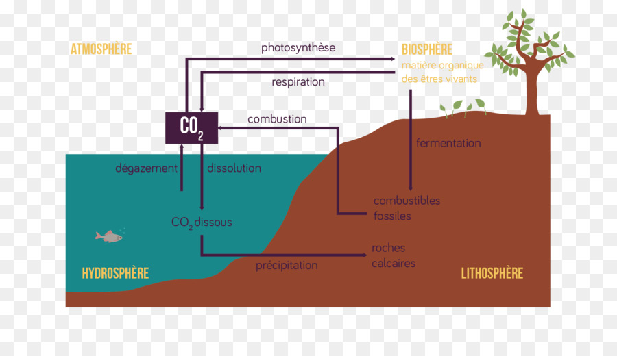 De Petróleo Gás Natural，Combustíveis Fósseis PNG