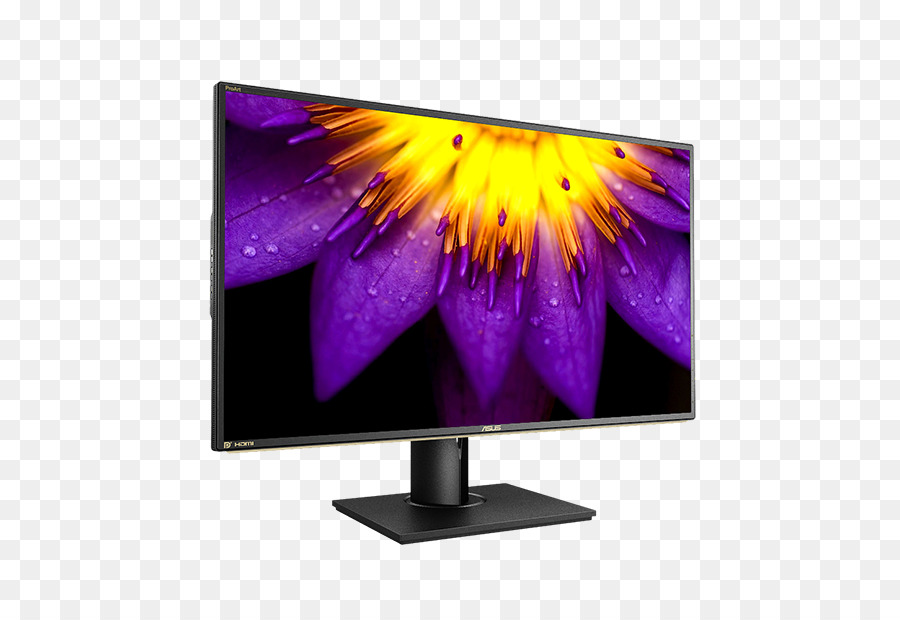 Asus Pa9q，Monitores De Computador PNG