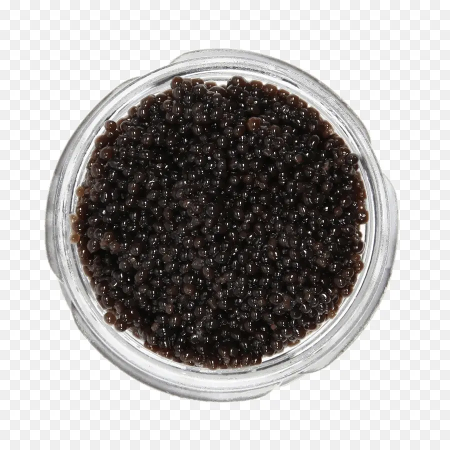 Caviar，American Paddlefish PNG