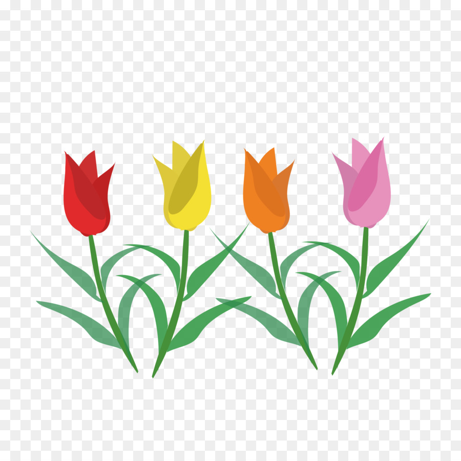 Tulip，Planta De Haste PNG