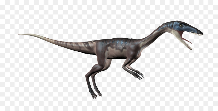 Velociraptor，Tiranossauro PNG