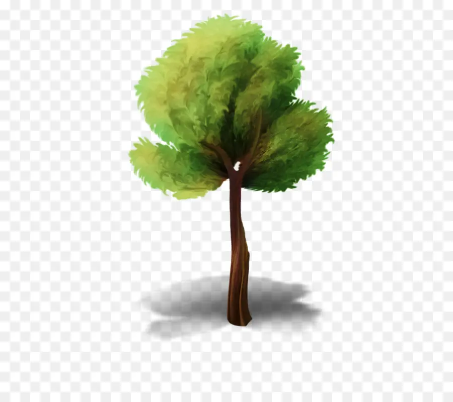 árvore，Animação PNG