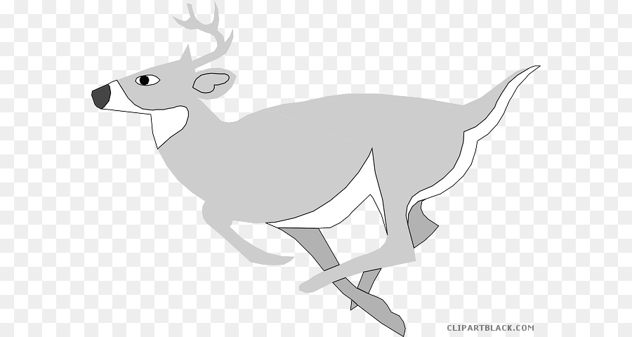 Deer，Desenho PNG