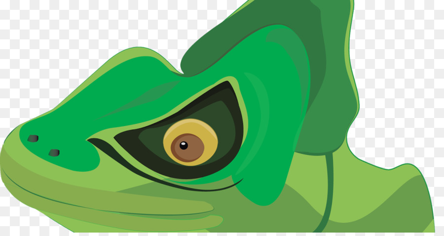 Tree Frog，Verdadeiro Sapo PNG