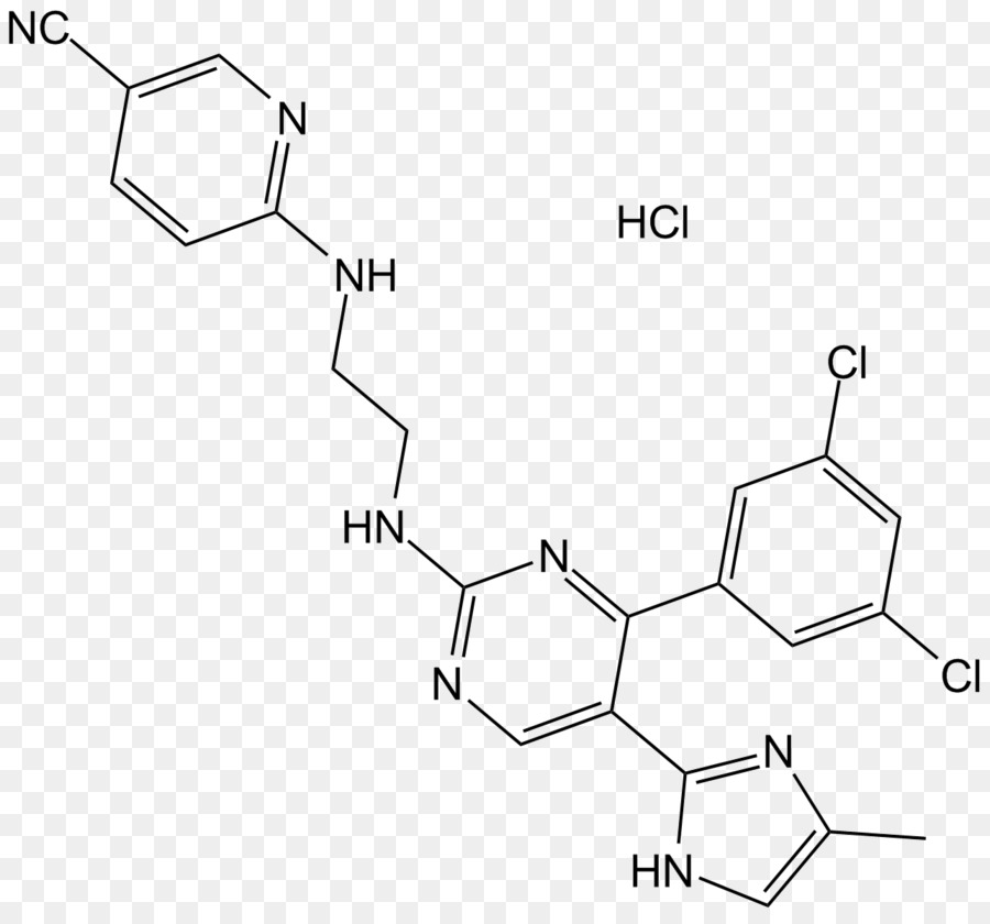 Proteína Quinase B.，Gsk3 PNG