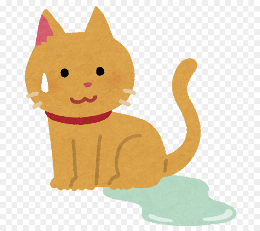 Gato，Comida De Gato PNG