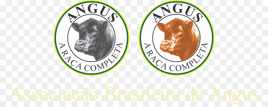 Angus Gado，Brangus PNG