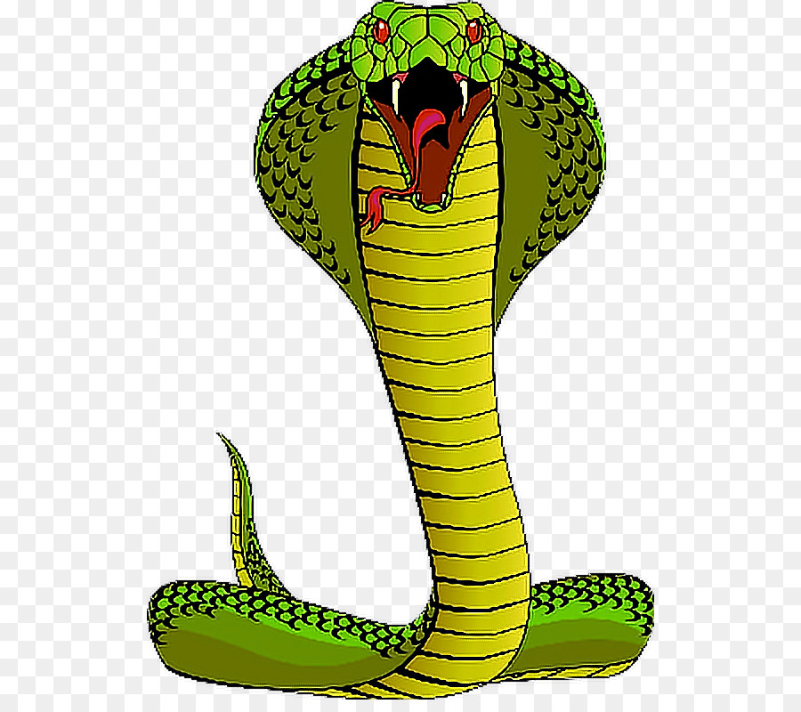 Cobra Circulada PNG , Serpente, Desenho Animado, 3d PNG Imagem