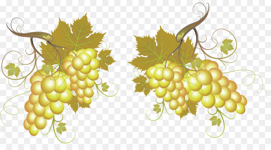 Uvas，Videira PNG