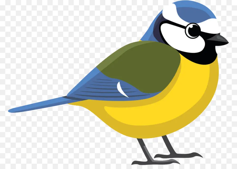 Aves，Tit PNG