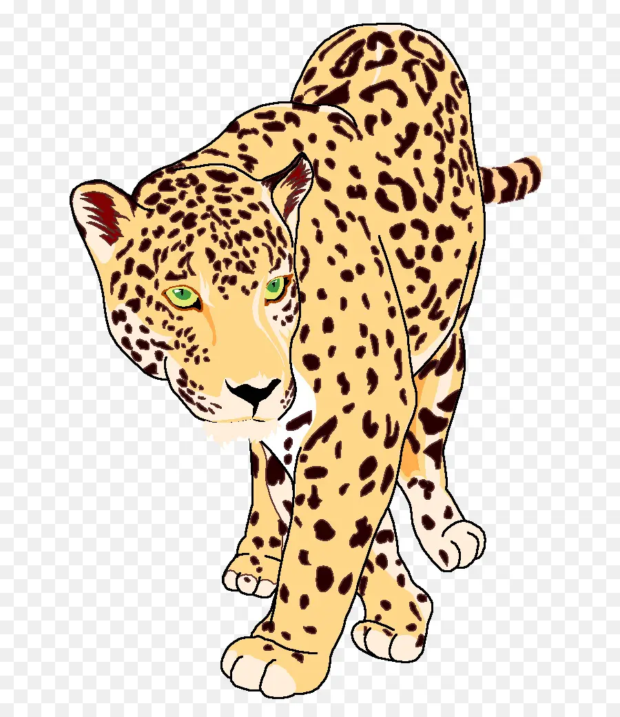 Jaguar，Leopard PNG