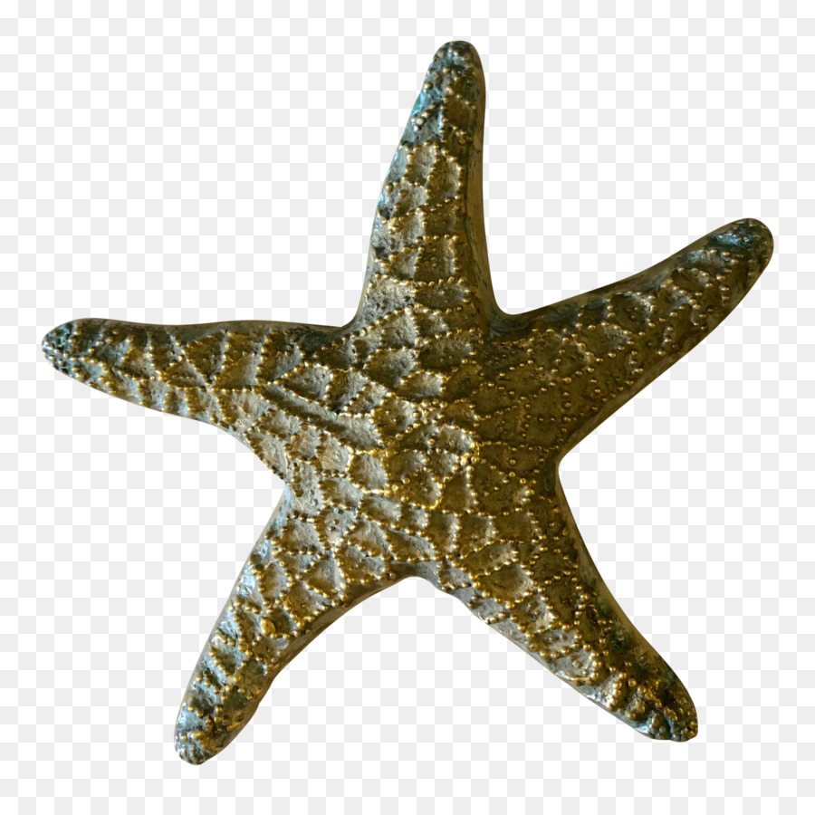 Estrela Do Mar，Tabela PNG