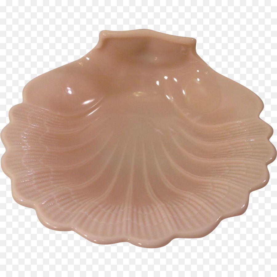 Seashell，O Serviço De Mesa PNG