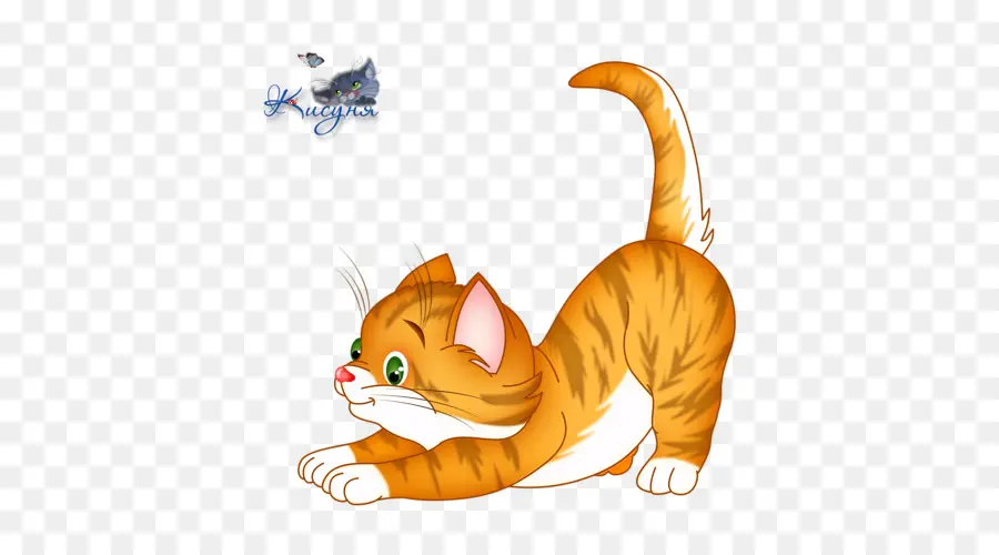 Gatinho Laranja，Gato PNG