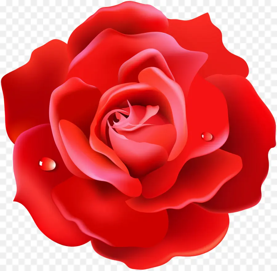 Rosa，Papel De Parede Da área De Trabalho PNG