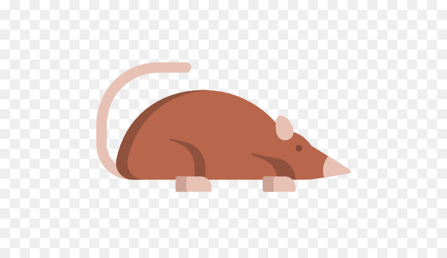 Rato，Roedor PNG