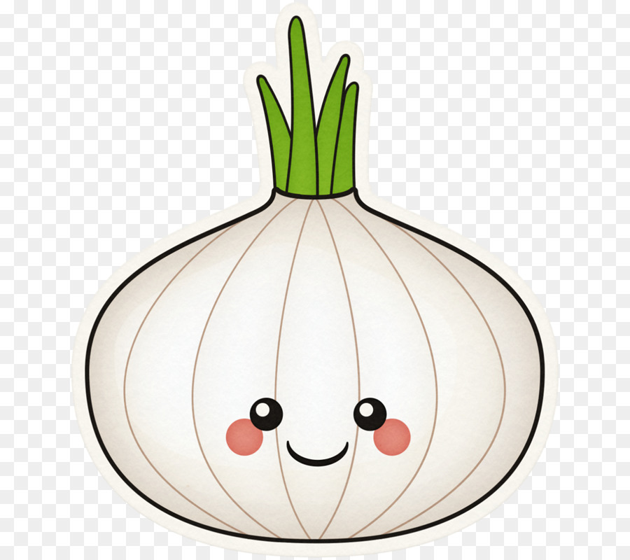 Vegetal，Cebola PNG