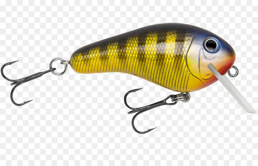 Plug，A Pesca De Iscas Iscas PNG