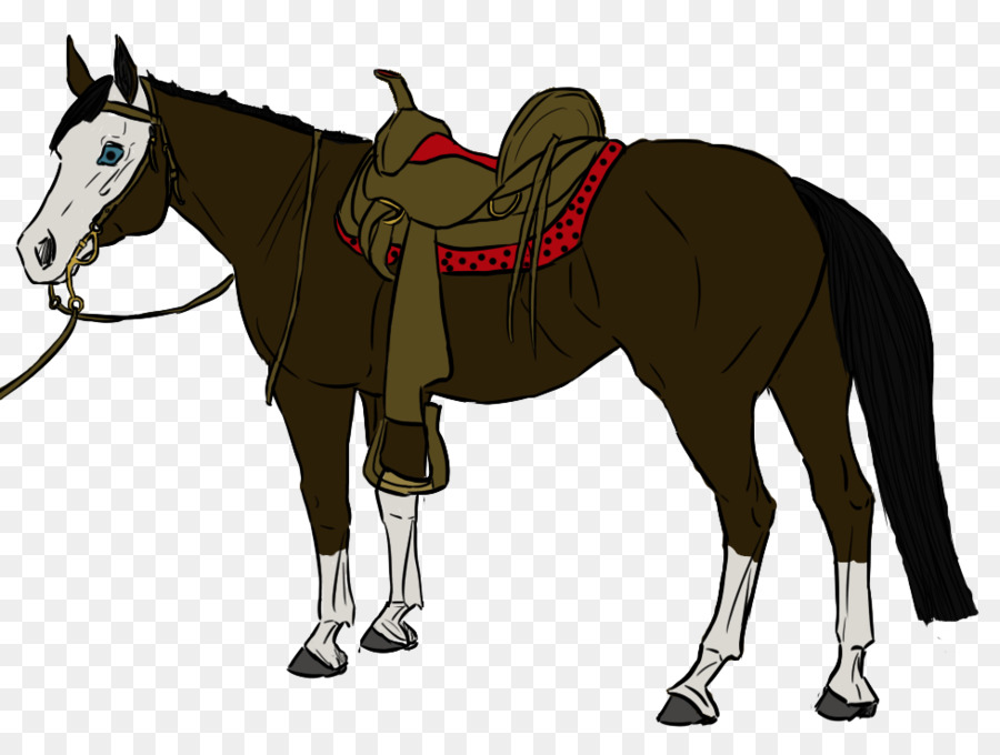 Mula，Cavalo PNG