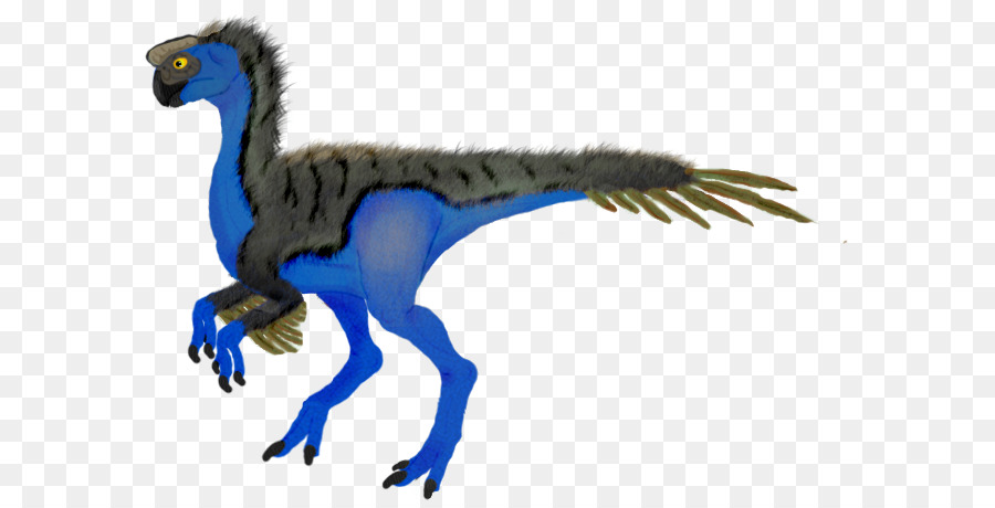 Velociraptor，Oviraptor PNG