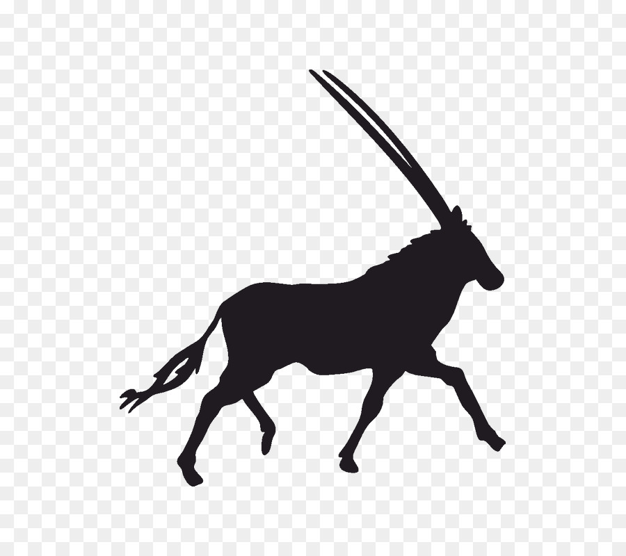 Antelope，Gemsbok PNG