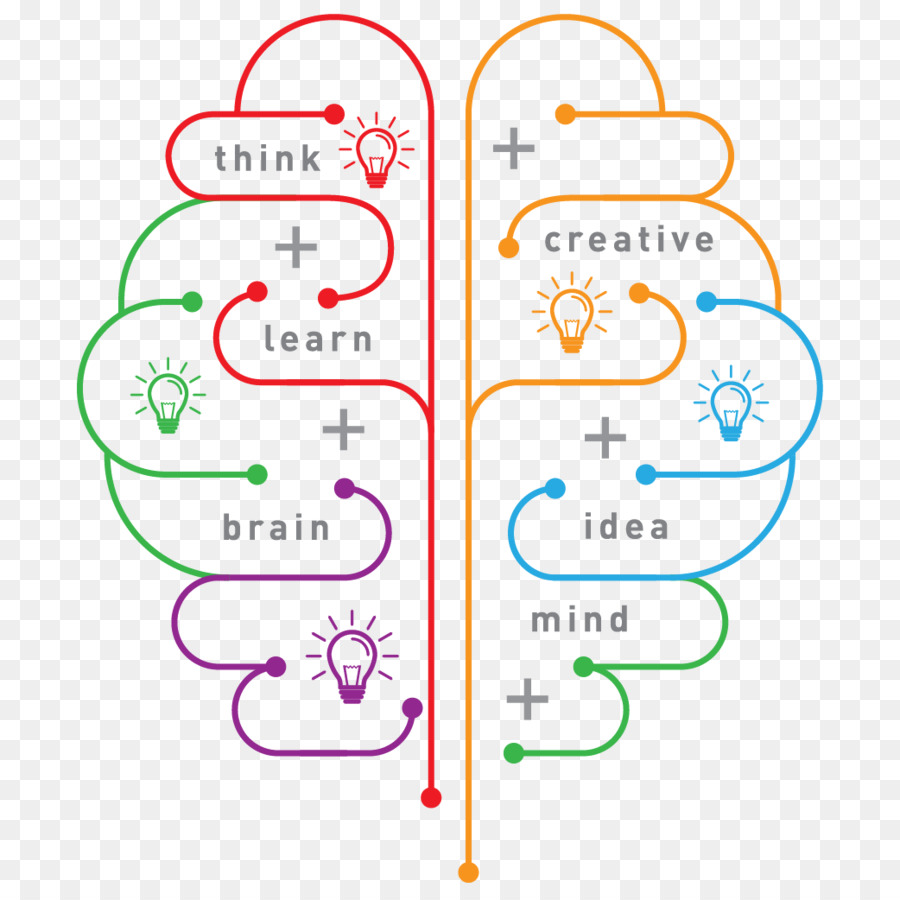 Diagrama Cerebral，Cérebro PNG