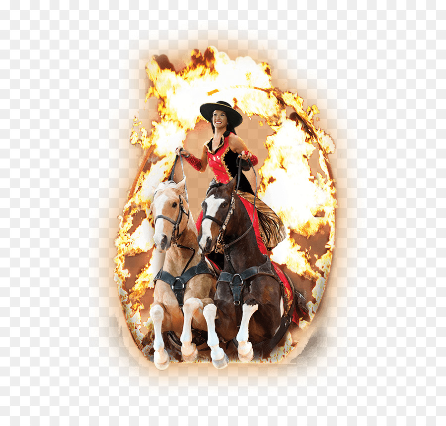 Dolly Partons Stampede，Cavalo PNG