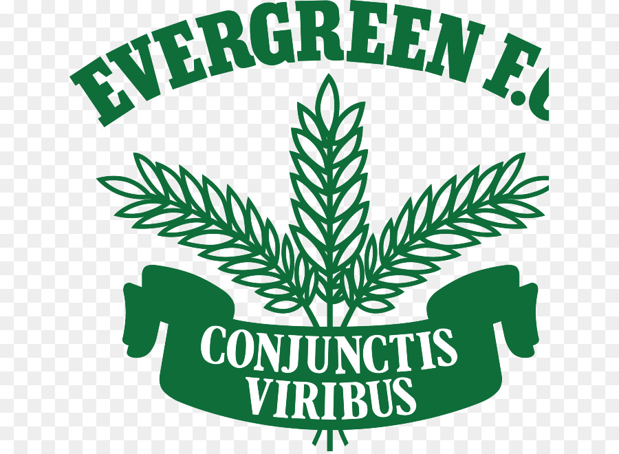 Evergreen Futebol Clube Social，De Trem PNG