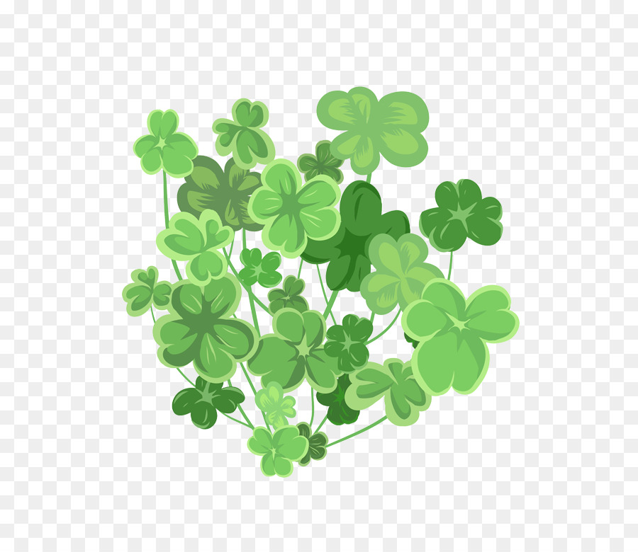 Folha，Shamrock PNG