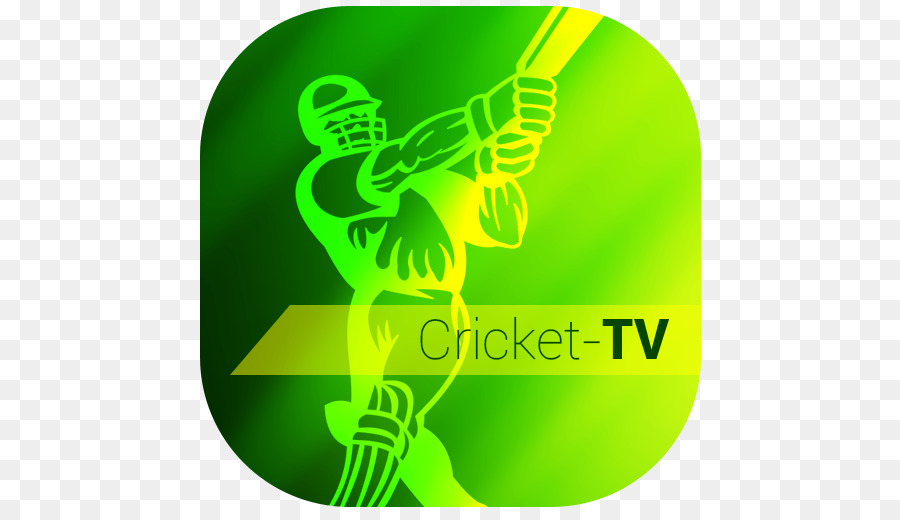 índia Nacional De Equipe De Críquete，Cricket PNG