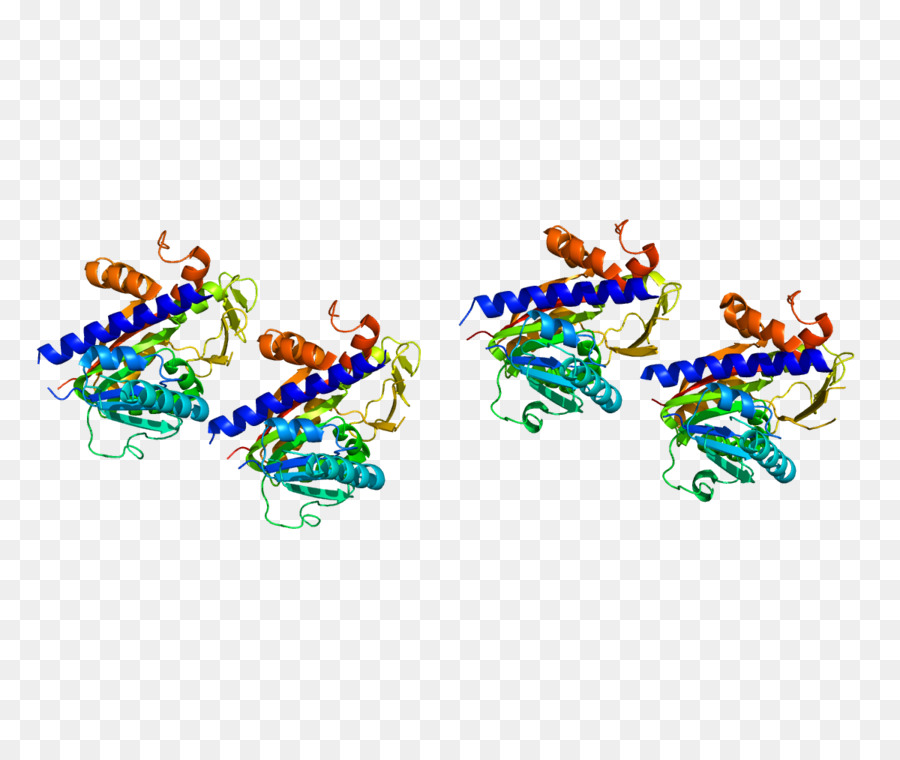 O Mrna Guaninen7methyltransferase，Metiltransferase PNG