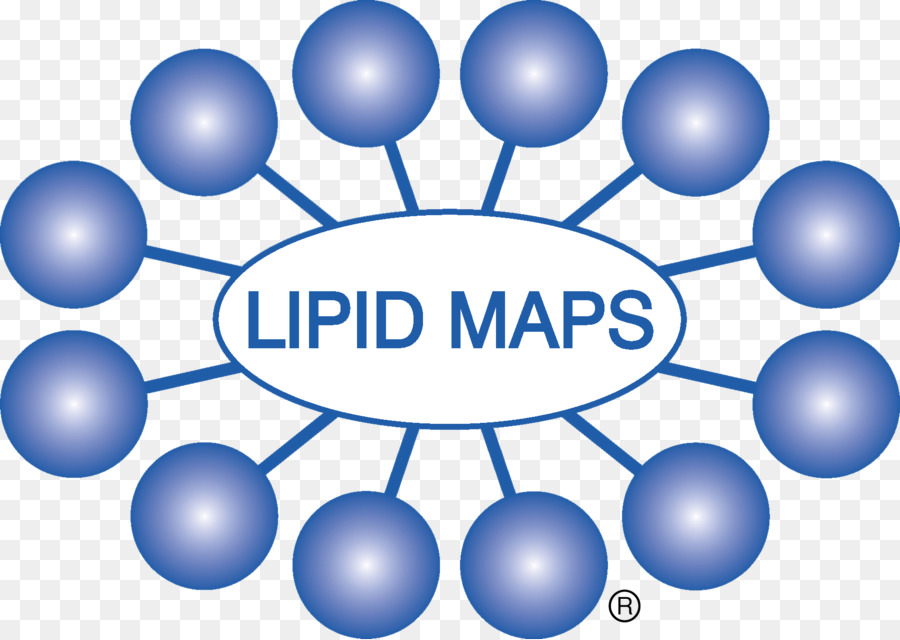 Lipídios，Lipidomics PNG