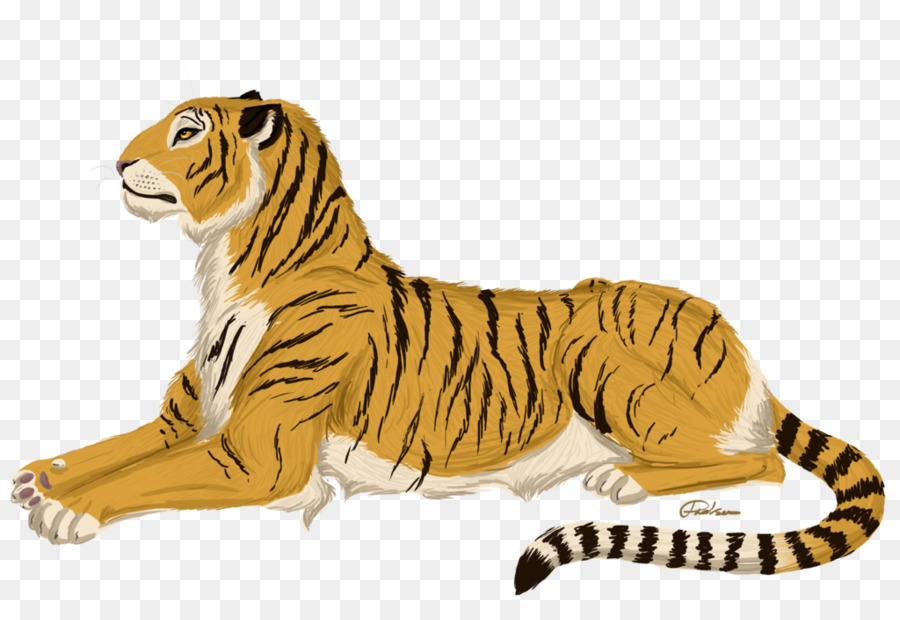 Tigre，Leão PNG