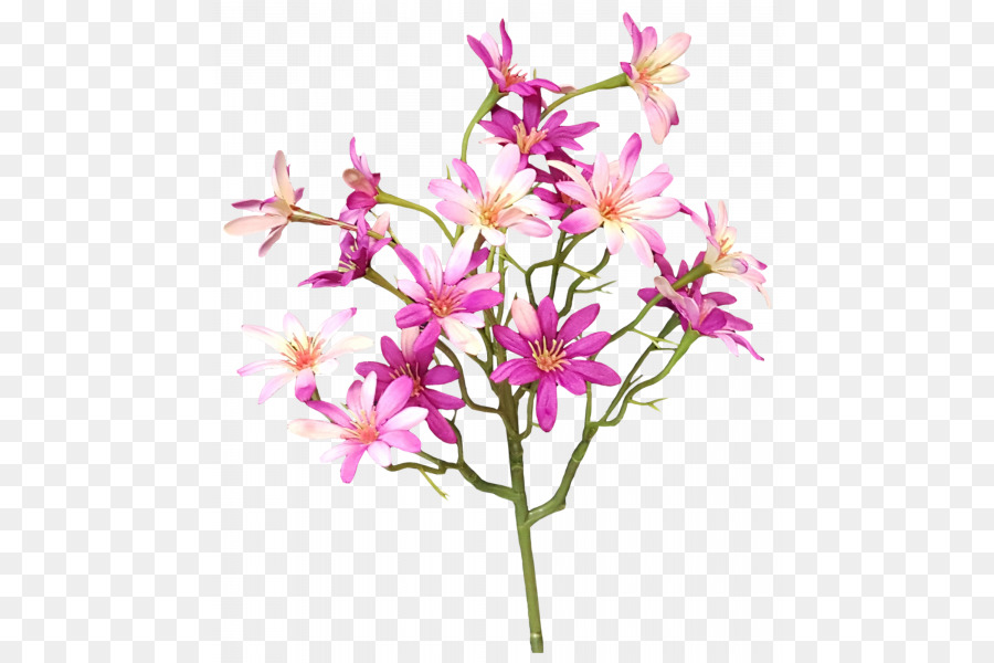 Flores Cor De Rosa，Florescer PNG