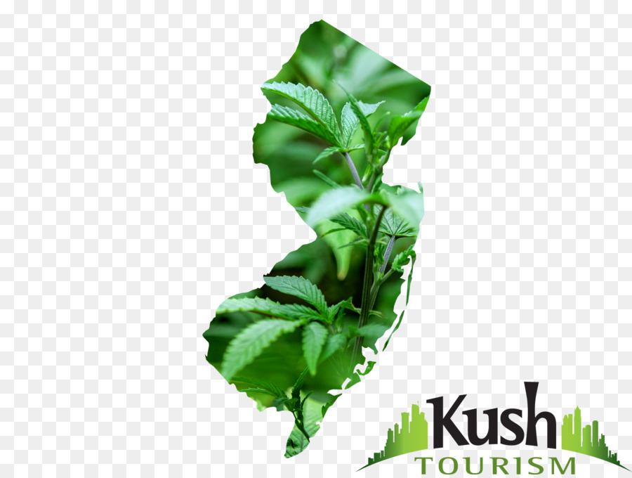 Nova Jersey，Cannabis Medicinal PNG