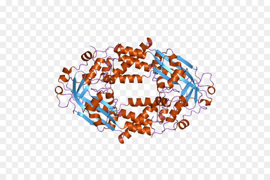 Estrutura Do Dna，Molécula PNG