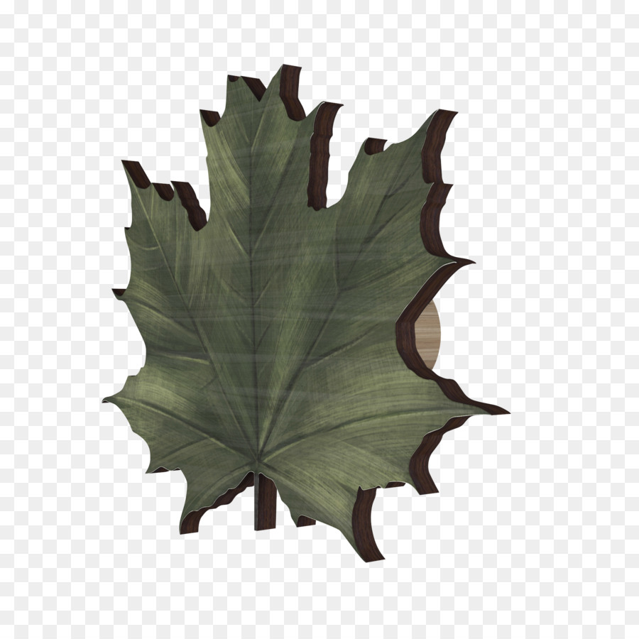 Maple Leaf，Folha PNG