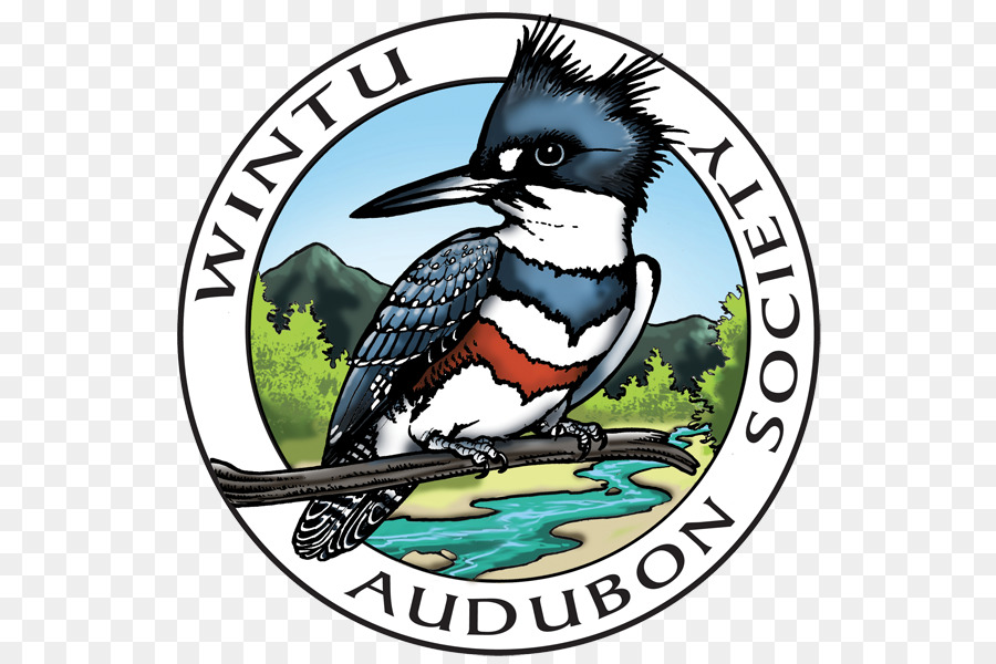 Plumas Sociedade Audubon，National Audubon Society PNG