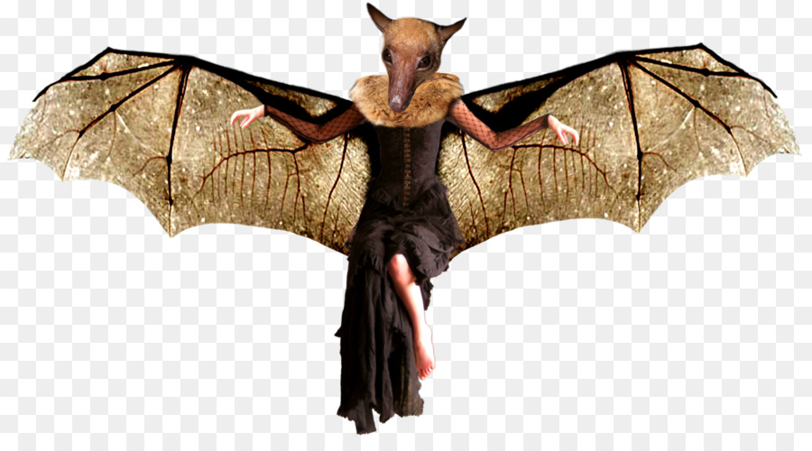 Criatura Lendária，Bat PNG