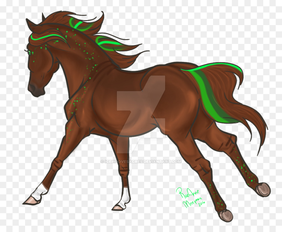 Cavalo，Equino PNG