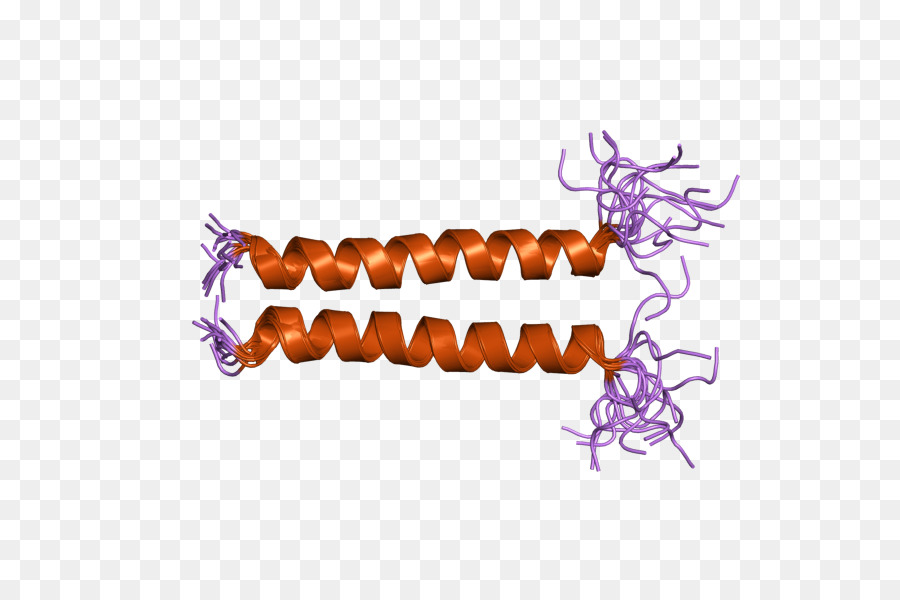 Organismo，Roxo PNG