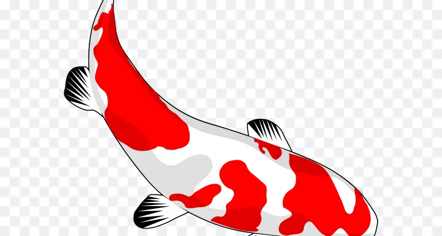 Peixe Koi，Vermelho PNG