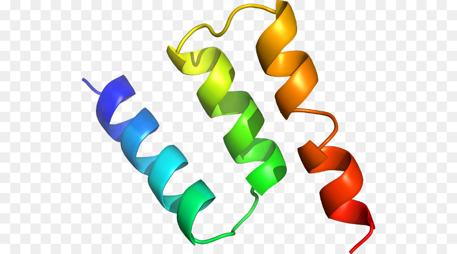 A Glutationa Peroxidase，Linha PNG