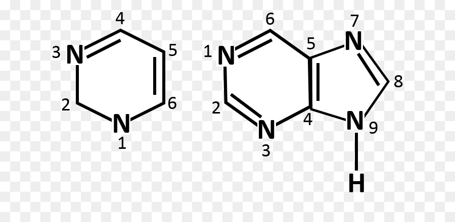 Estrutura Química，Molécula PNG