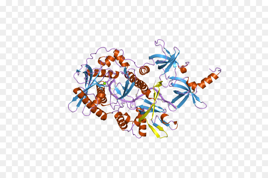 Estrutura Proteica，Molécula PNG