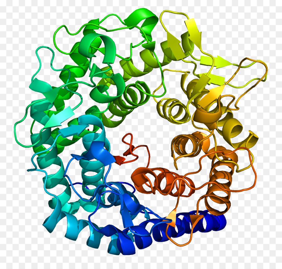 Man1a1，Proteína PNG