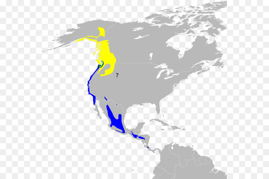 Estados Unidos Da América，Mapa PNG