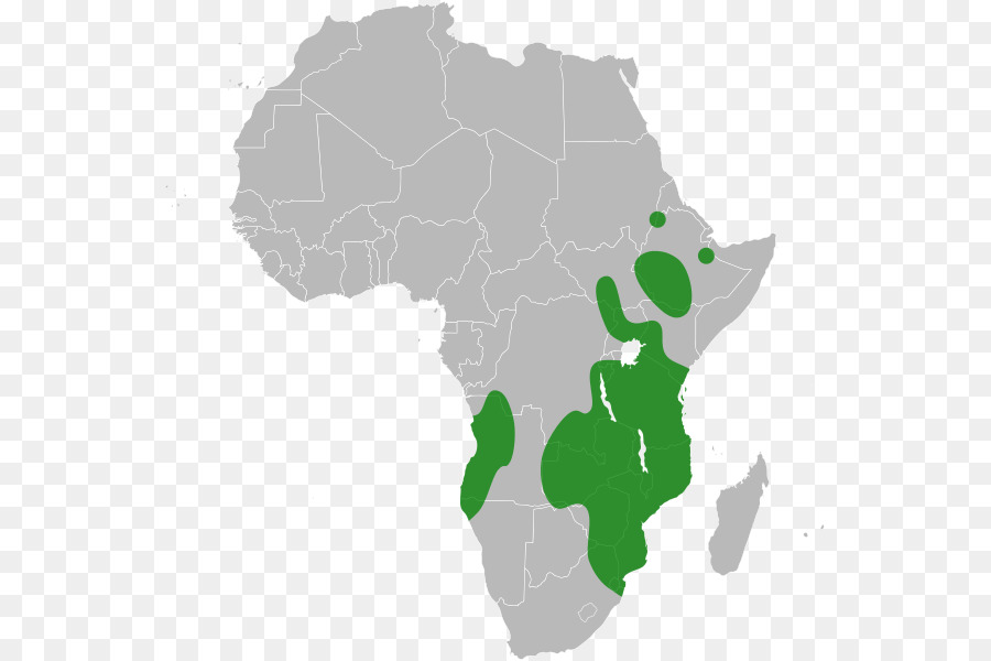 áfrica，União Africana PNG