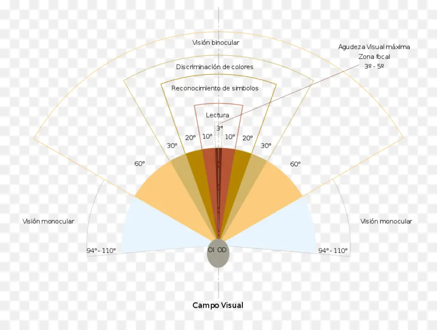 Gráfico De Campo Visual，Visão PNG