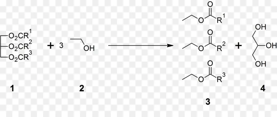 O Glicerol，A Transesterificação PNG